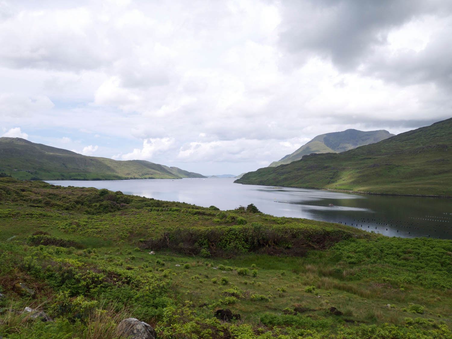 View across a grass irish landscape with a lake in the background
